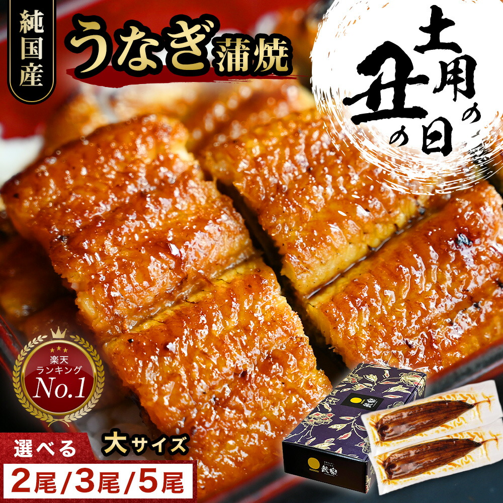 エドコモン　国産うなぎ蒲焼140g×4尾入 エドコモン様専用 国産うなぎ蒲焼140g×4尾入