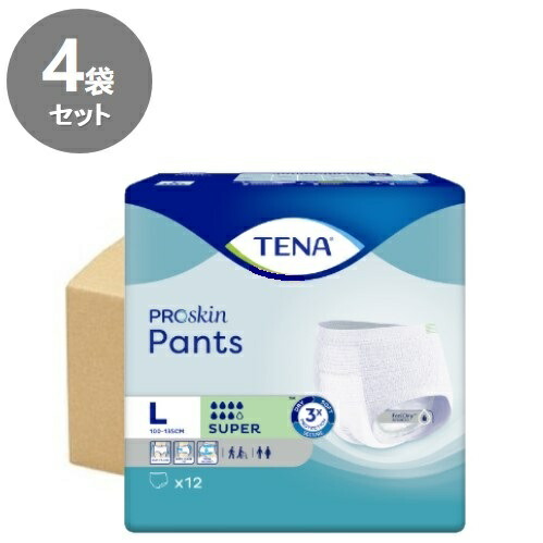 12枚×4袋【容れもの売りわたす】TENAズボン下 百貨店 L大きさ 750竓 ズボン下 御襁褓
