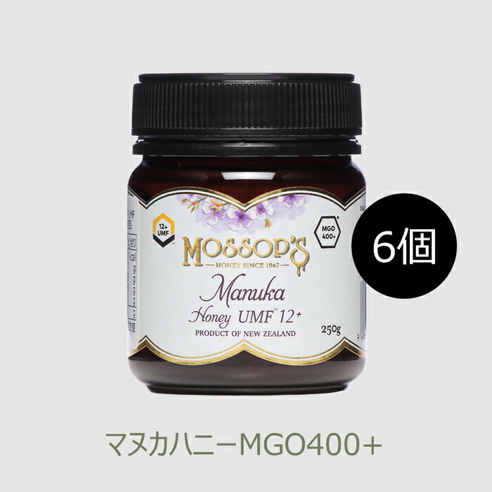 レイノーリモージュ シ キオン プレート 6枚 キッチン、食器 O