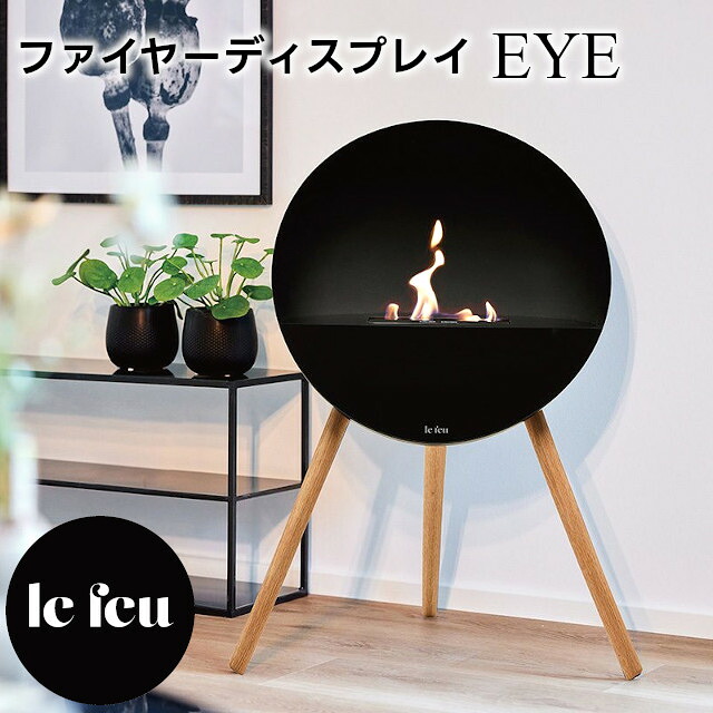 キッズ コウモリ傘 特集 20260609