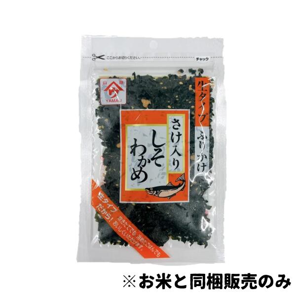 お米　里山のつぶ　10kg  精米　白米 在庫有・即納】【精米】 令和6年産 福島県産 里山のつぶ 里山の