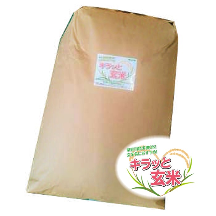 お徳用独自ミクス飯米 キラっと玄米30kg 国内生じる 送料無料 ノン慨嘆 Gruposigaservicos Com Br