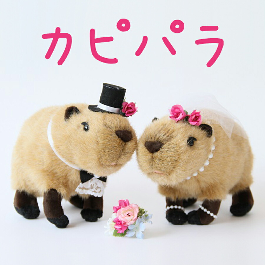 カピパラ　ぬいぐるみ　ウェディングドール・結婚式ぬいぐるみ・カピパラさん　珍しい動物　ユニーク　可愛い　ぬいぐるみ　受付　ギフト　結婚祝い　祝電　電報