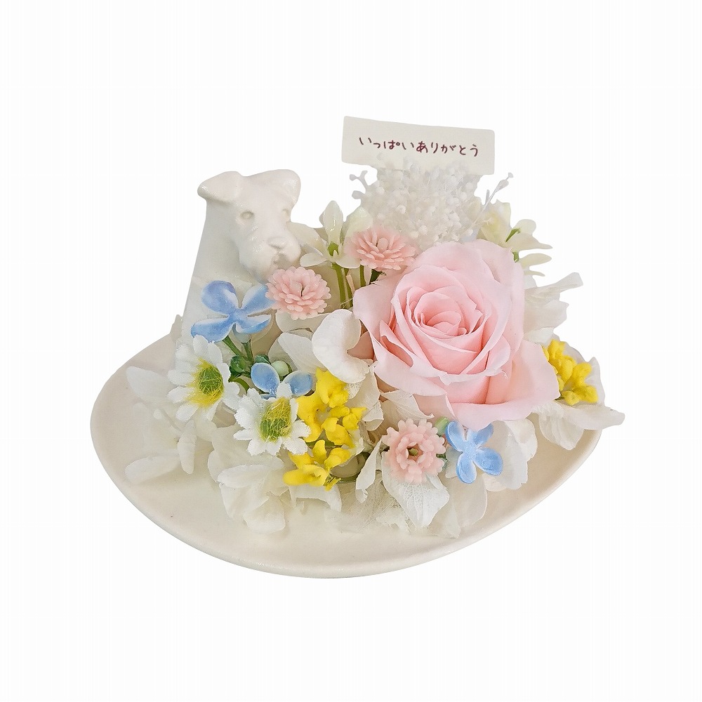 楽天市場 F ダックスフント風 ペット お供え 仏花 犬 メモリアルフラワー わんちゃんダックス 仏壇用 ペット供養 お供え花 J Dコーポレーション 楽天市場 F ダックスフント風 ペット お供え 仏花 犬 メモリアルフラワー わんちゃんダックス 仏壇用 ペット供養 お供え花 J Dコーポレーション