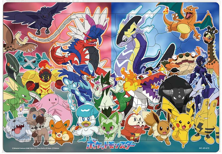 香川県　高松市　ポケモンパズル TEN-MC80-616 ポケモン ポケモンのタイプわかるかな？ 80ピース