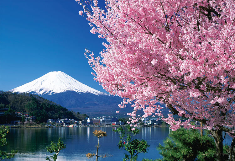 楽天市場 Yam 01 2068 日本の風景 桜と富士 山梨 108ラージピース ジグソーパズルジャパン