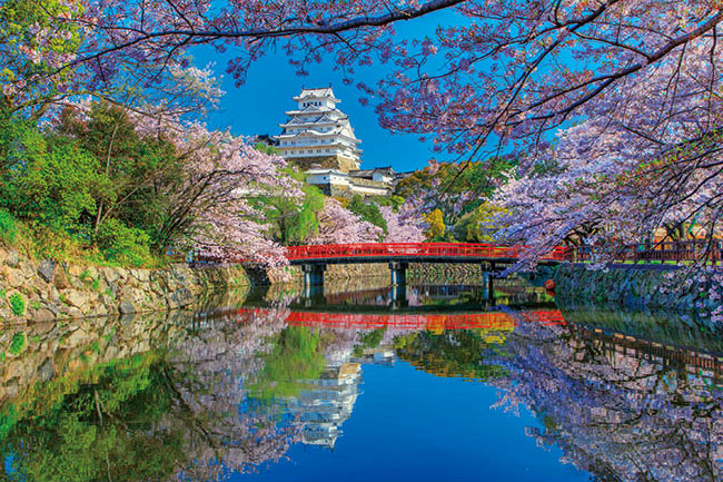 楽天市場】【あす楽】 EPO-25-156 風景 桜の仁和寺-京都 300ピース ［CP-C］ パズル Puzzle ギフト 誕生日 プレゼント :  ジグソーパズルジャパン