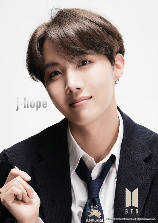 楽天市場 Epo 41 304 Bts 防弾少年団 Map Of The Soul 7 J Hope 108ピース パズル Puzzle ギフト 誕生日 プレゼント 公式グッズ ジグソーパズルジャパン