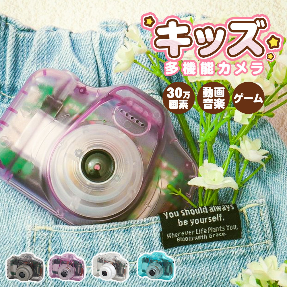 トイプロカメラ 51c2pqjJz2L._UF350,350_QL50_.jpg
