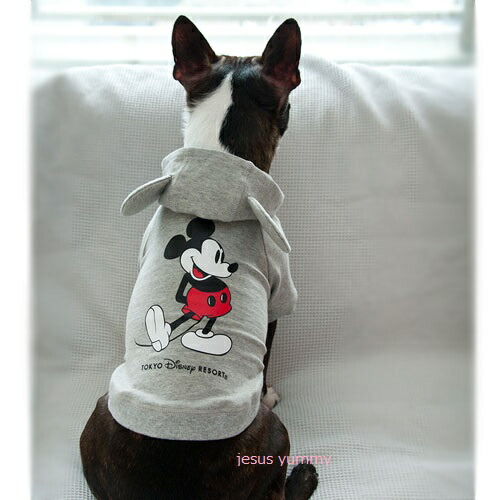 ペット用 パーカ パーカー ミニー 3s Ss レッド 東京ディズニーリゾートお土産袋付き Highsoftsistemas Com Br