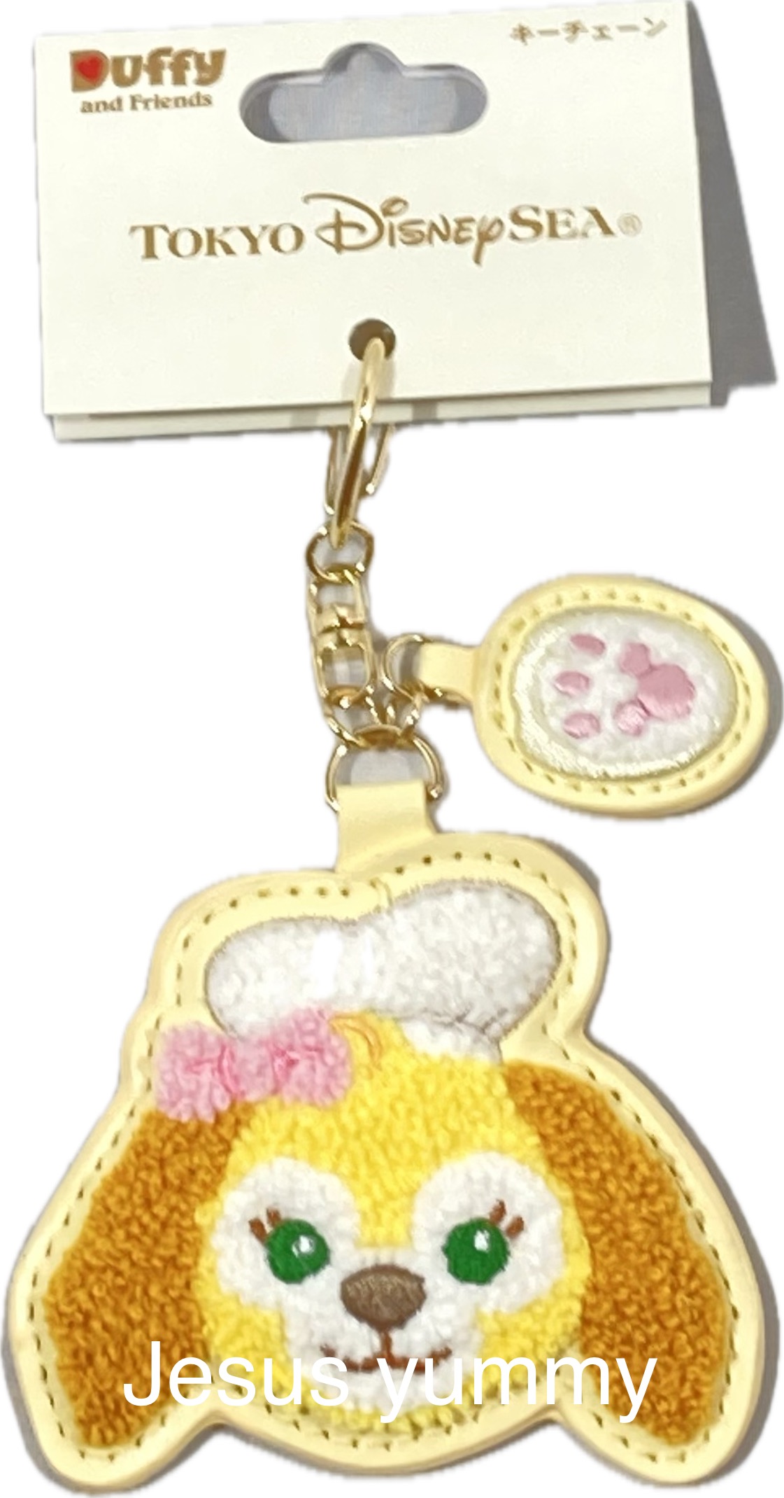 【専用】ダッフィー&フレンズ　リーナベル　パーカー キーチェーン 41xl8XiQL1L._AC_SY350_QL65_.jpg