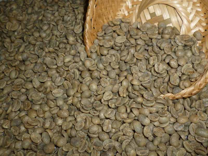 楽天市場】生豆コーヒーコスタリカジャガー・ハニー (250g)：【RCP