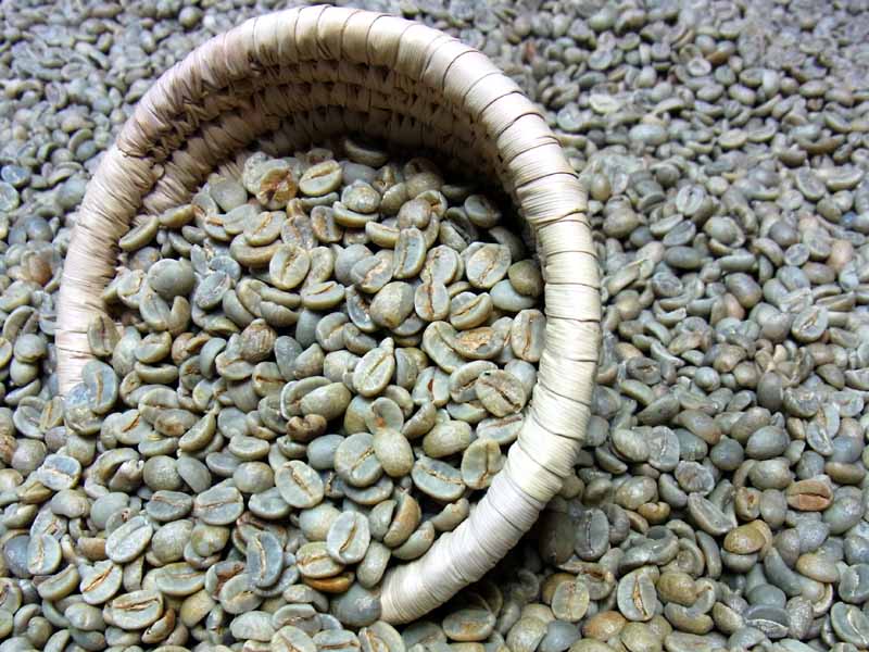 爆安!![コーヒー 生豆 ]ブラジル サントス No.2 / 8kg ブラジル サントスNo.2 S17/18 生豆500g 【公式通販サイト