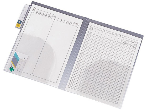 リヒトラブ カルテフォルダー縦型ダブルポケット A4 200枚 HK7612-ミ インデックス付 Ａ４ クリアホルダー ファイル