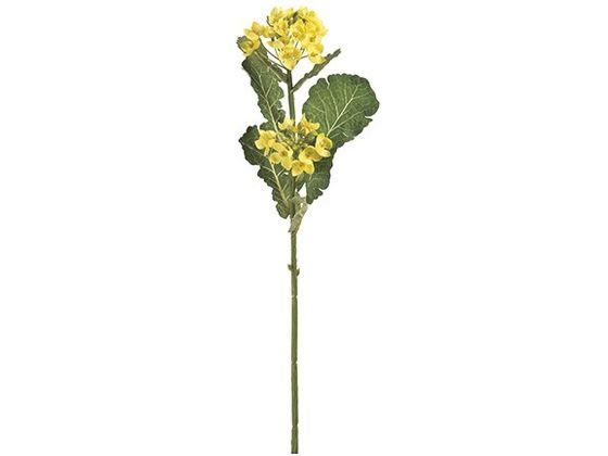 楽天市場】菜の花造花菜の花プランター送料無料 : 造花の専門店