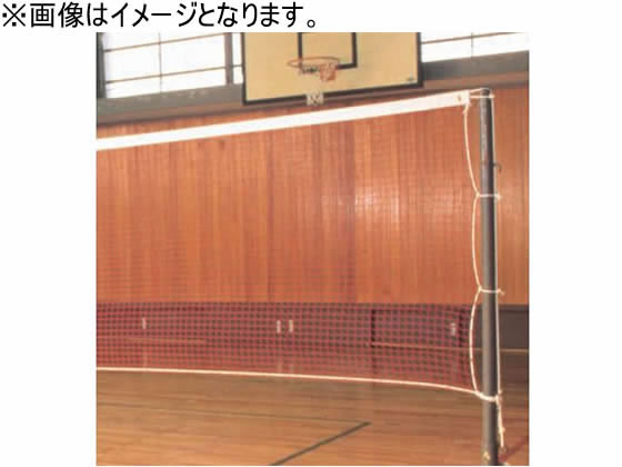【お取り寄せ】ダンノ バドミントンサイバー空間 バドミントン20 12 ソフトアラミドロープ付