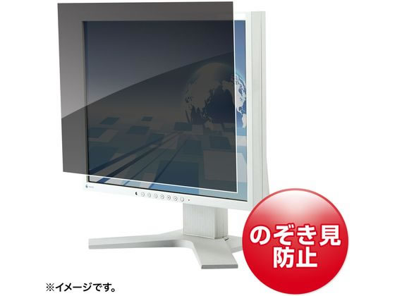 【お取り寄せ】サンワサプライ 19.0in広々とした相応う非公開ろ波器 CRT-PFNG190W 非公開ろ波器 ＰＣ マイコン 家電