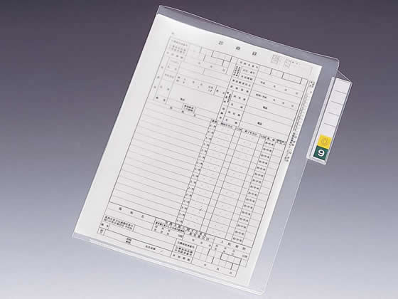 【お取り寄せ】リヒトラブ カルテフォルダー 縦型 シングル隠し A4 200枚 HK7608-ミ カルテ整理保存用具 フォルダ 蔵入り箱 事務備え付け 診療 介護創立用調度品 看護