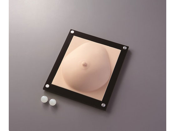 【お取り寄せ】ナビス 訓練用モデル(ナビトレ)乳がん触診モデル 腫瘍ボール付き 訓練用模型 教育 模型 看護 医療