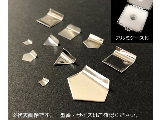 【お取り寄せ】アズワン 分銅 E-2級 50mg 秤量用部品 秤量 計測器 計量器