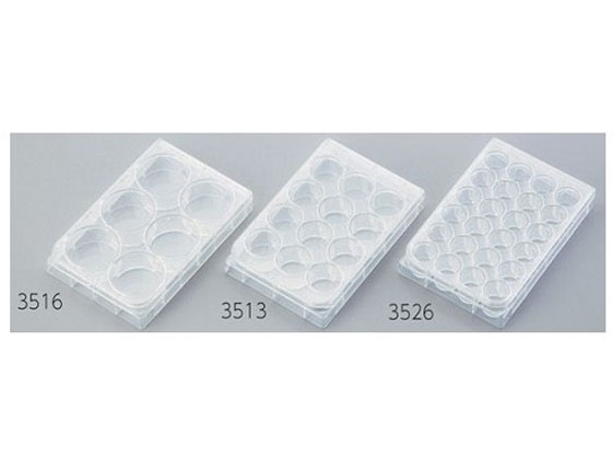 【お取り寄せ】Corning マルチプルウェルプレート 6ウェル 大型はしけ 3516 一皿 脂入れもの 計り器