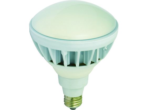 【お取り寄せ】日動 LED交換球 ハイスペックエコビック20W E26 昼白色 L20W-JW110-50K 投光器 作業灯 照明用品 工事用品 作業用品 工具
