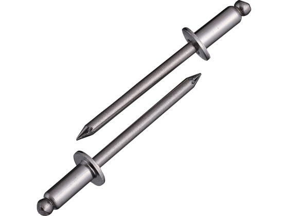 【お取り寄せ】エビ ブラインドリベット(ステンレス／ステンレス製) 6-5(150本入) エコBOX NST65EB ボルト ねじ 釘 素材 作業用品 工具