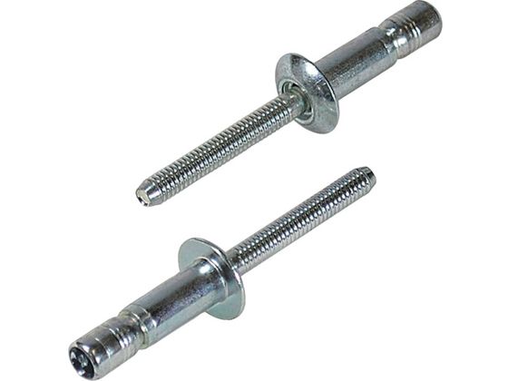 【お取り寄せ】エビ 高強度ブラインドリベット Sボルト(丸頭) Φ6.4／板厚9.5mm (100本入) SNS64095EB ボルト ねじ 釘 素材 作業用品 工具