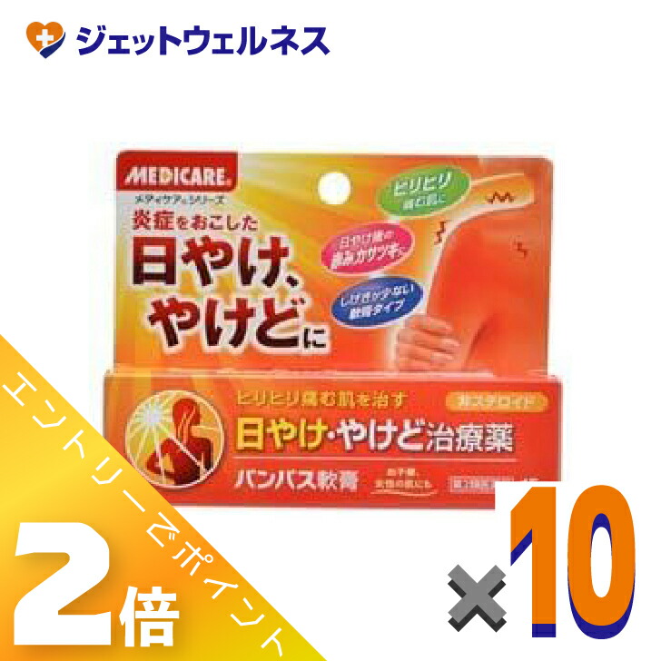 ≪5月も継続！毎日全商品P2倍！≫【第2類医薬品】パンパス軟膏 15g ×10個〔日やけ・やけど〕