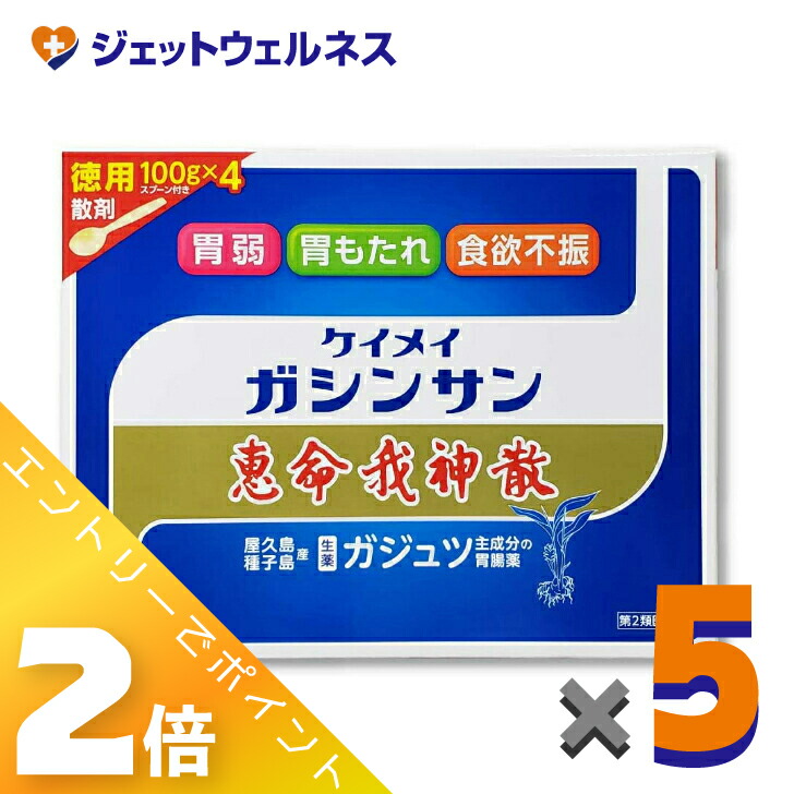 ≪百貨店SALE継続期間中！全商いものP2倍！≫【第2類飲み薬】恵命我神散 100g 4袋入 ×5個
