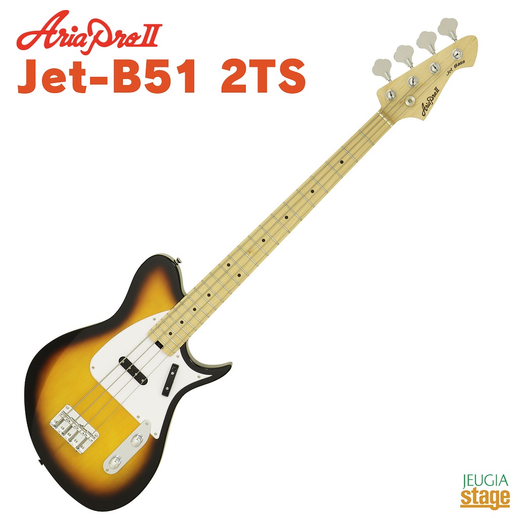 楽天市場】【2/10-12:00〜2/11 P5or10倍！(一部対象外あり)】ARIA PRO