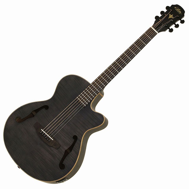 ARIA アリア FET-F2 STBK 楽天市場】ARIA FET-F2 STBK Stained Blackアリア 初心者セット