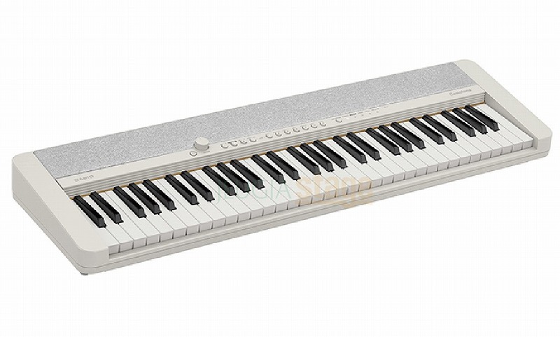 美品】3点セット/CASIO カシオトーン＋スタンド＋教本 CT-S1 楽器/器材