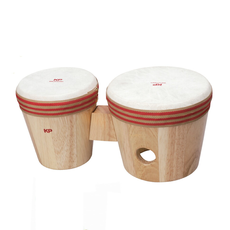 楽天市場】LP ラテンパーカッション ウッドボンゴ 楽器 両手で