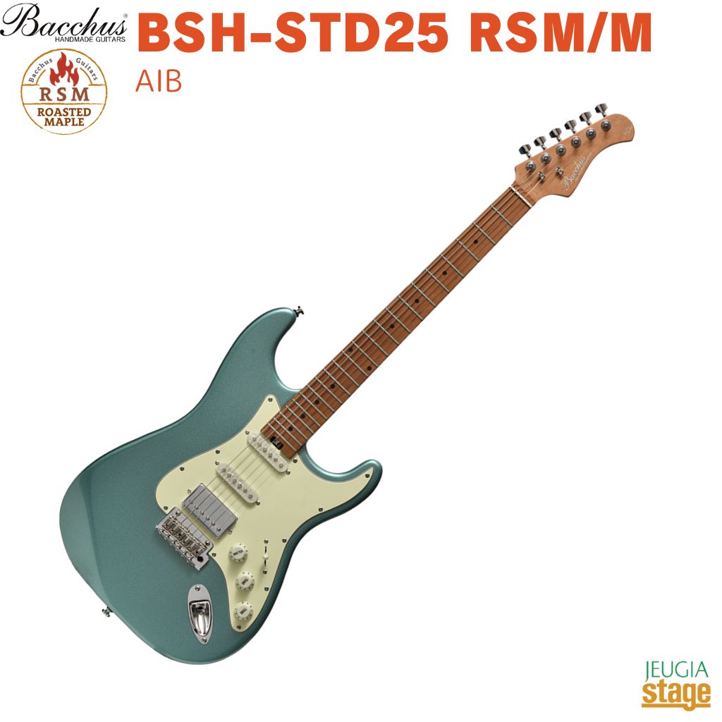 Bacchus/BST-1-RSM ストラト~特別仕様 良ギター サーフグリーン 楽天市場】Bacchus BST-1-RSM/M SFG バッカス エレキギター