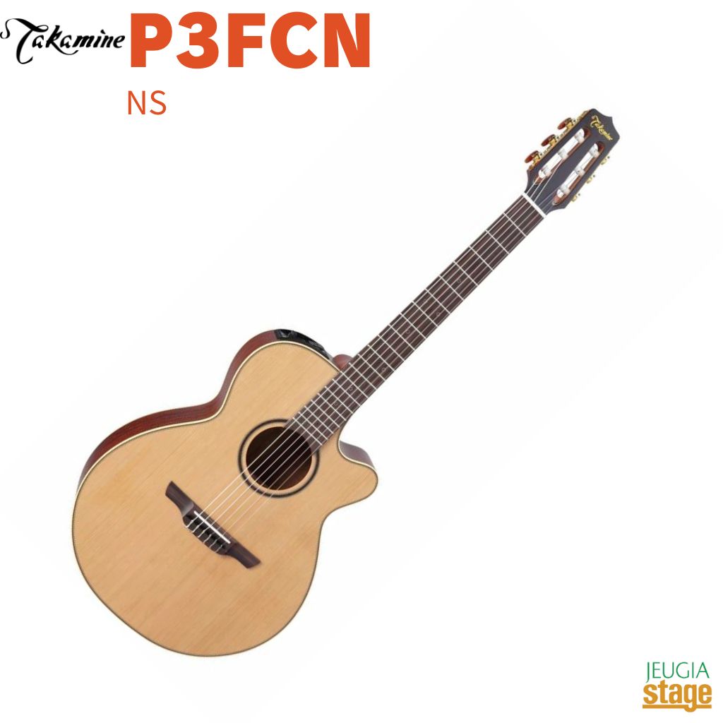 TAKAMINE P3FCN エレガッドギター超美品 TAKAMINE P3FCN エレガッドギター超美品 Takamine タカミネ