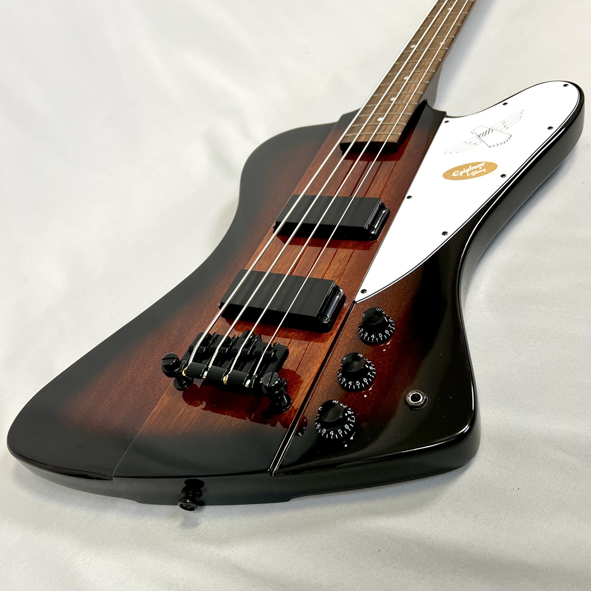 楽天市場】Epiphone Rex Brown Thunderbird (Ebony) [本数限定特別価格