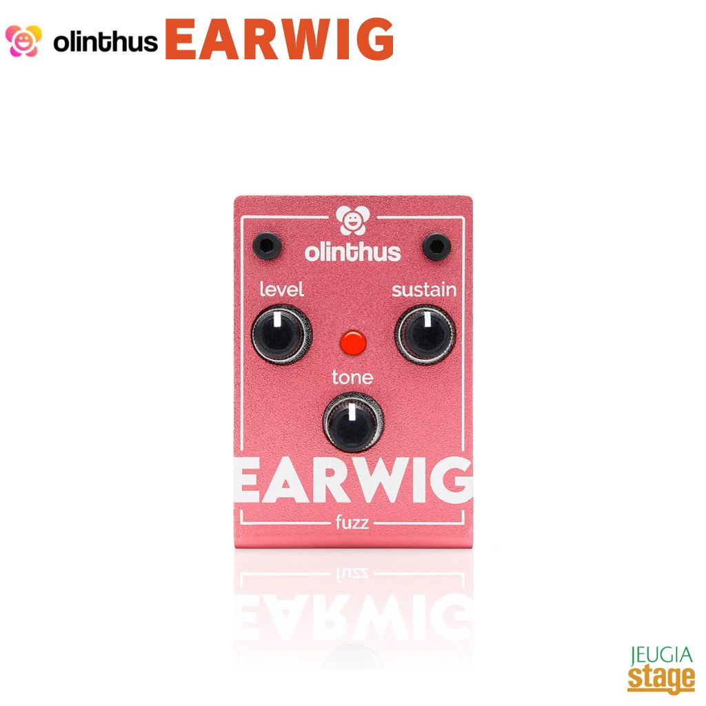 Olinthus EARWIG オリンツス イヤーウィッグ ファズ 【Stage- Guitar Accessory】ギターエフェクター コンパクトエフェクター effector effect pedal fuzz マフ系