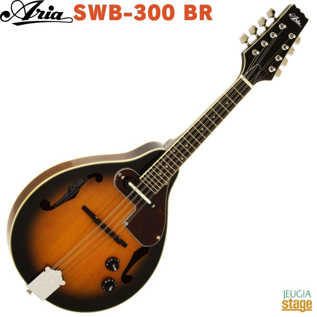 ARIA AM-20E Electric Mandolin【ピックアップ付】【ハードケース付き】アリア エレクトリック フラットマンドリン【Stage-】|京都 JEUGIA(ジュージヤ 楽器)