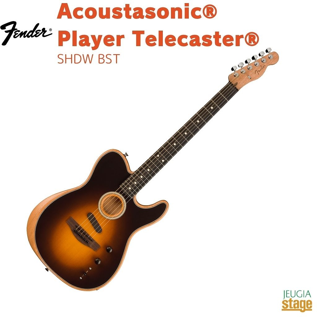 テレキャスター タイプ ギター ジリコテ & 杉 エレキギター】-Fender