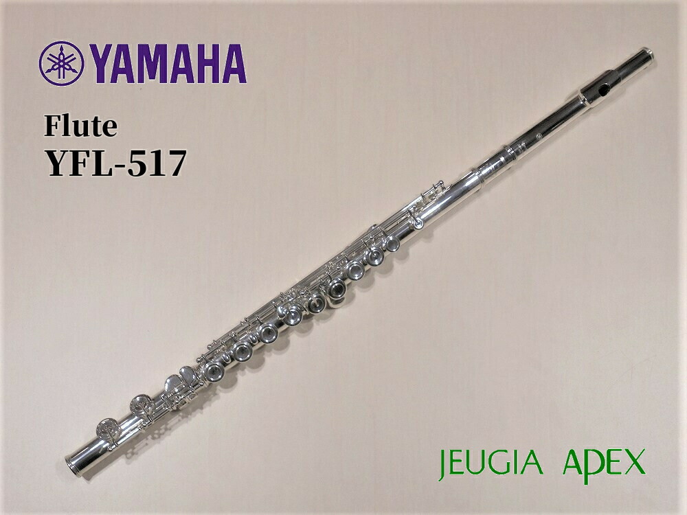 【楽天市場】SANKYO FLUTE SILVER SONICシルバーソニック Eメカニズム付き C足部管 頭部銀製 銀メッキ仕上げ 三響 フルート【APEX-Rakuten  Wind instrument】 : 京都 JEUGIA（ジュージヤ 楽器）