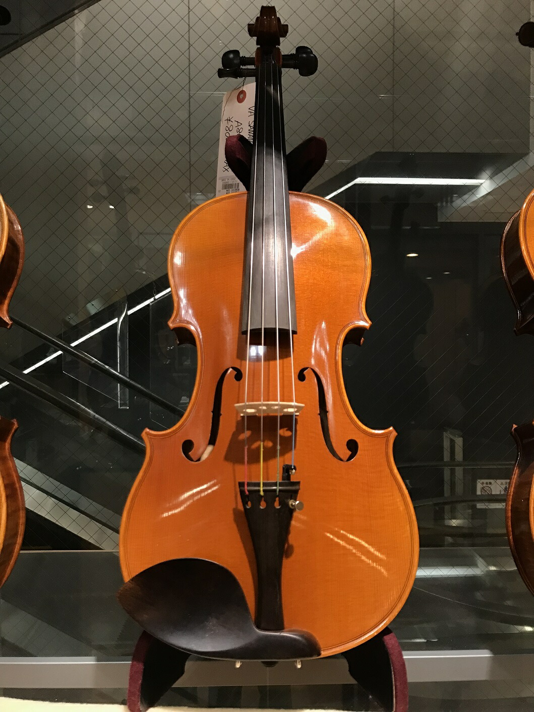 ヴァイオリン4/4弓ALEXANDER LANGOLF AL-110