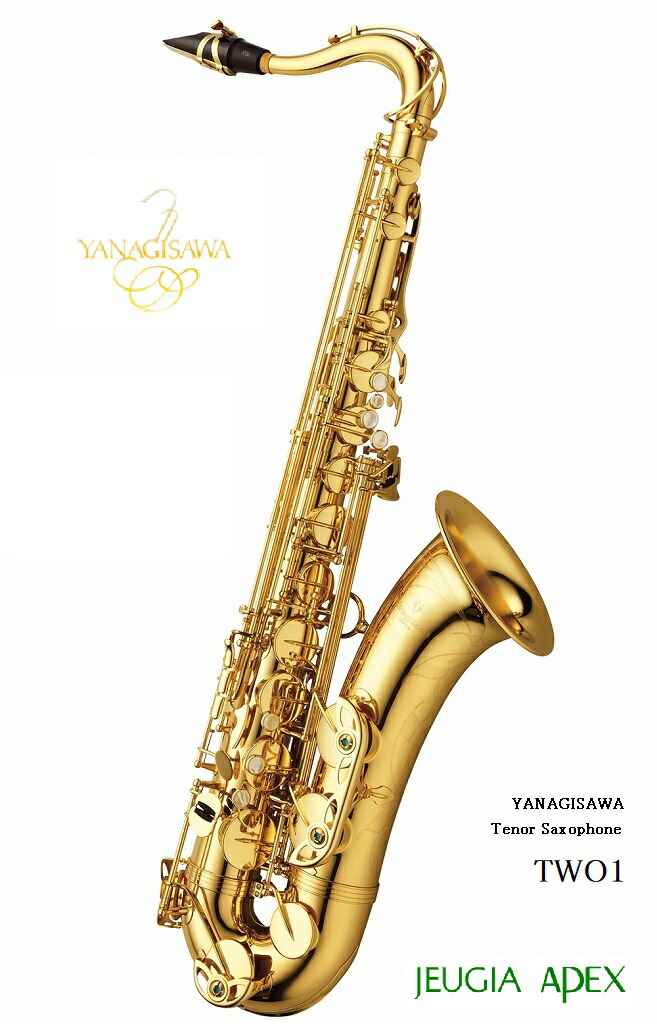 管楽器・吹奏楽器 Yanagisawa T-WO2 Yanagisawa / T-WO2 ヤナギサワ テナーサックス ブロンズ管 ラッカー