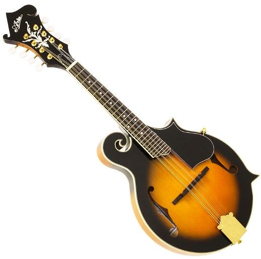 楽天市場】Epiphone エピフォン マンドリン MM-30S フラット