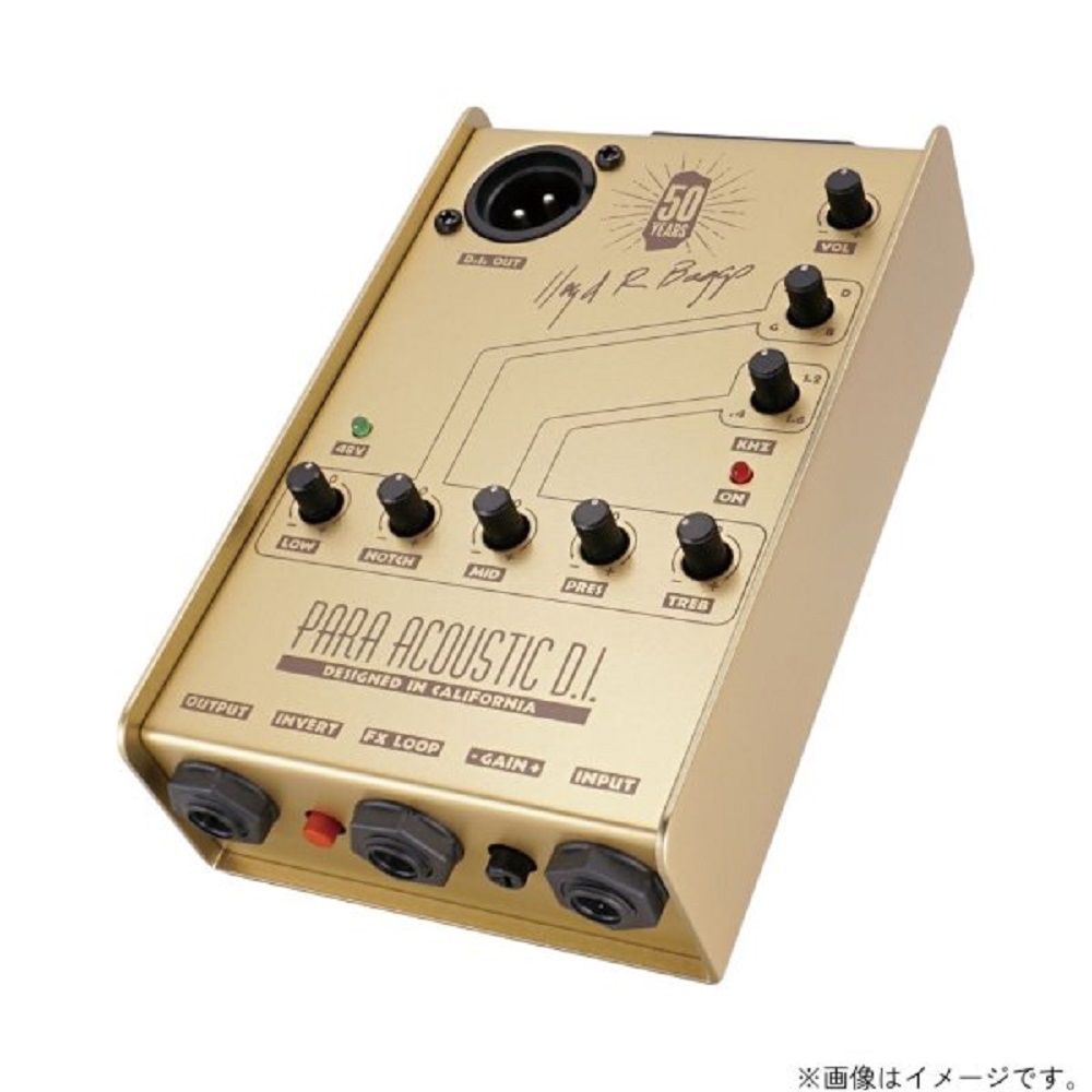 L.R.Baggs Gold Para D.I. 【L.R.Baggs50周年記念モデ・国内300台限定生産】｜京都 JEUGIA（ジュージヤ 楽器）