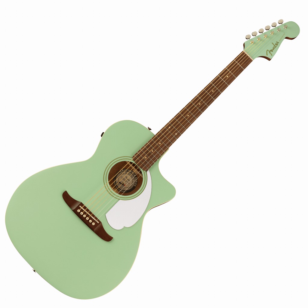 Fender エレアコ Newporter Player IBM WIN Amazon.com: Fender Newporter Player Acoustic-Electric Guitar