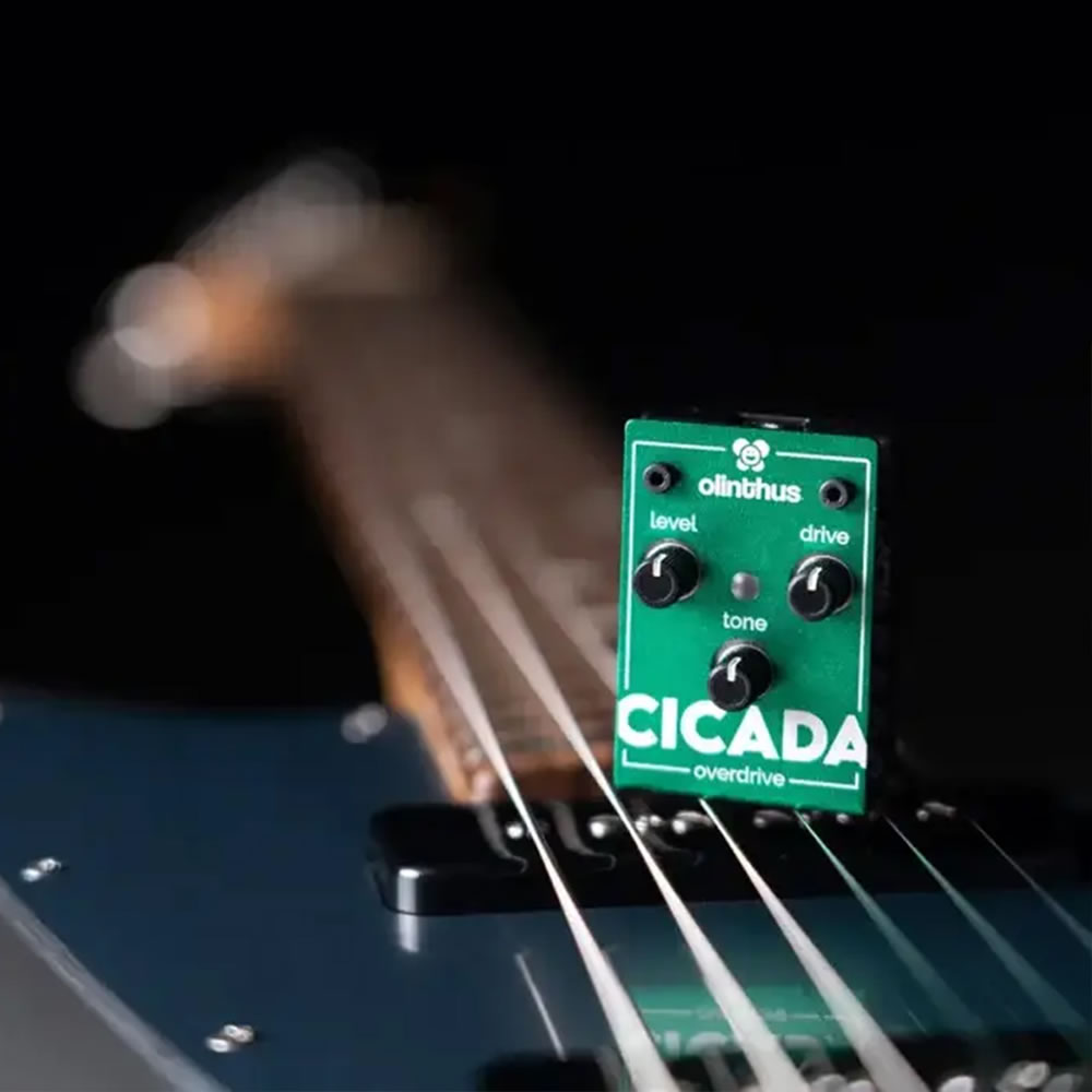 楽天市場】Olinthus Earwig オリンサス エフェクター ファズ 入出力用