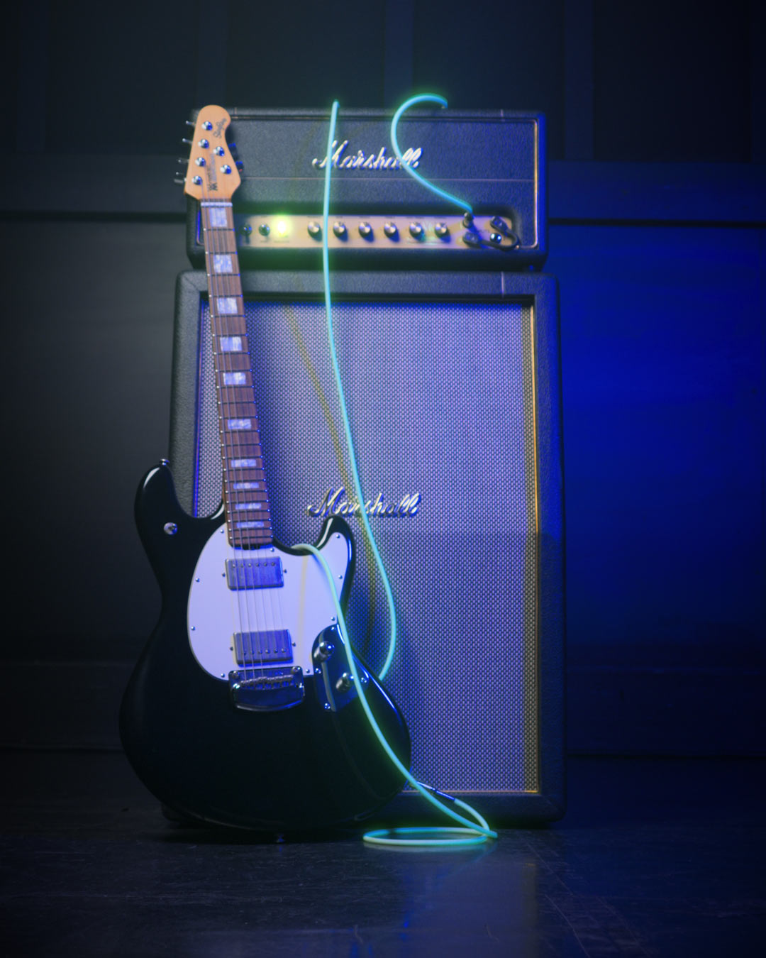 【楽天市場】ERNIE BALL Glow in Darkの通販