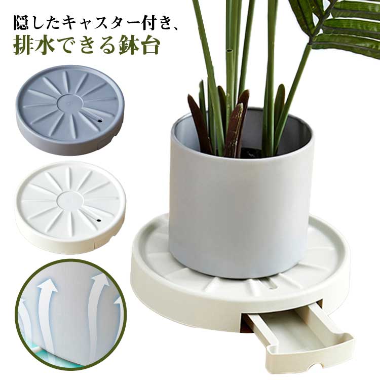 ストレッチャー。観葉植物。鉢ごと無料で発送致します。 楽天市場】排水 鉢台 : ちっとしょっぷ