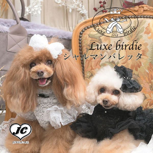 楽天市場】【Luxebirdie】ロズレボンネット（犬 服 小型犬
